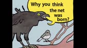 460x258