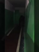 270x360