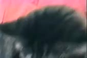 360x240