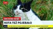 720x405