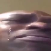 360x360