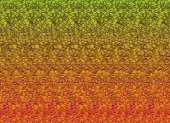 800x581
