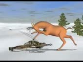 320x240