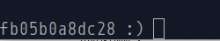 250x47