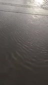 362x640