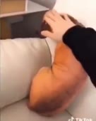 288x360