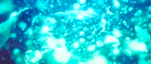 1920x824
