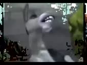480x360
