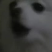 400x400