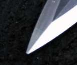 153x131
