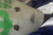 540x360