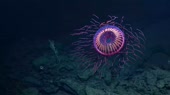 960x540