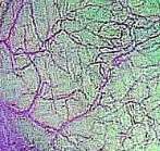 147x139