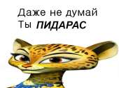 800x600