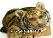 639x463