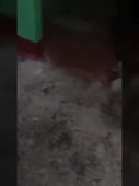 270x360