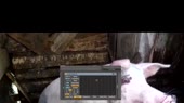 640x360