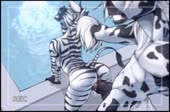 320x212