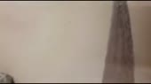 426x240