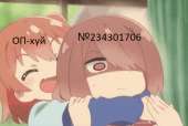 493x332
