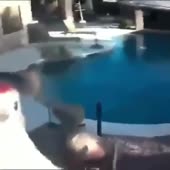 360x360