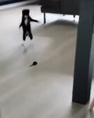 320x400