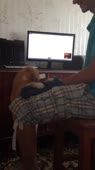 608x1080