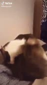 360x640