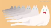 460x258
