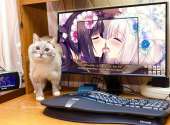 1280x945