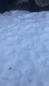 408x720