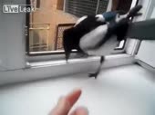 480x360