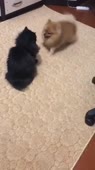 360x640