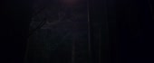 1280x532
