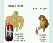 600x494