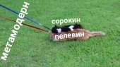 480x269