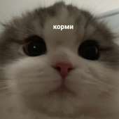 871x869