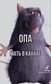 540x888