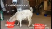 640x360