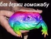 500x382
