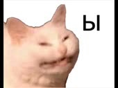 640x480
