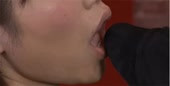 590x300