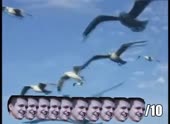 490x360