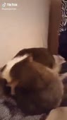 360x640
