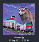 314x339