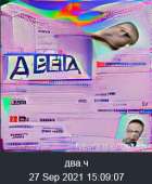 256x310
