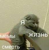 744x748