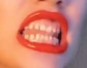 223x176