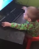 288x360