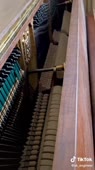 576x1024